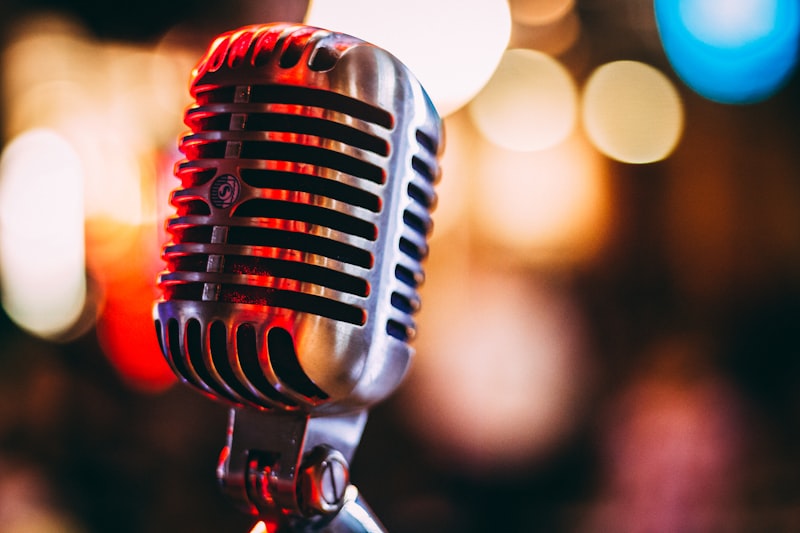 Punk vocalist microphone